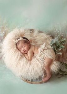 newborn baby in basket